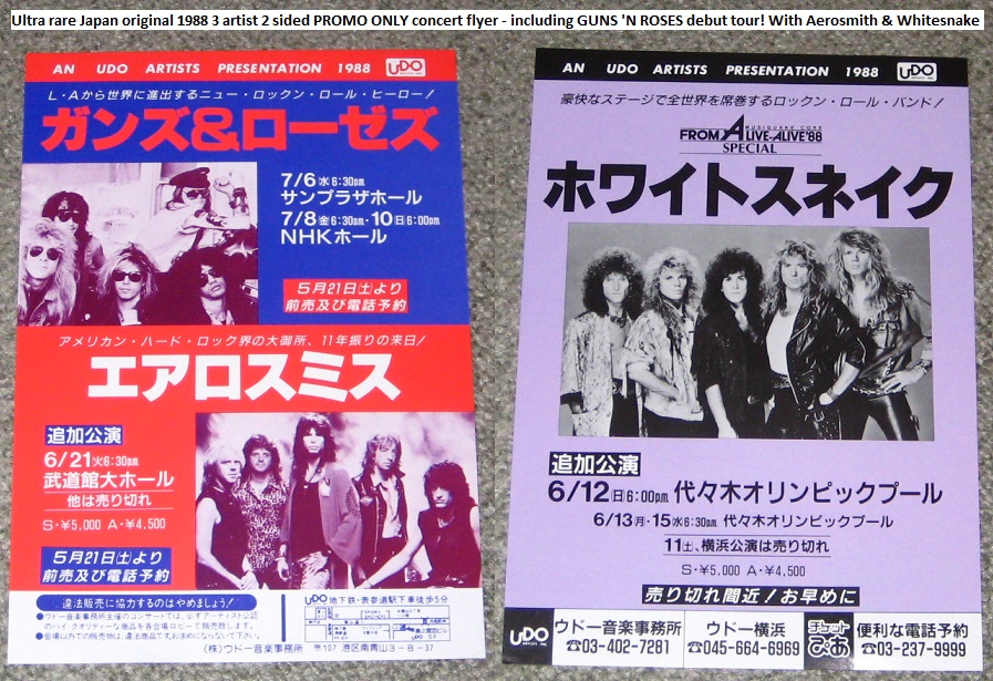 Debut 1988 Japan Tour Flyer